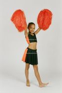Side Stripe Top and Panel Skirt